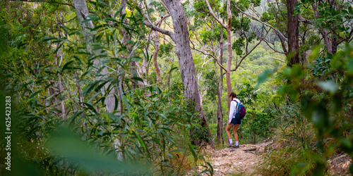 beautiful girl with backpack hiking through dense bush in mount barney national park, queensland, australia  large mighty mountains near brisbane and gold coast  © Jakub