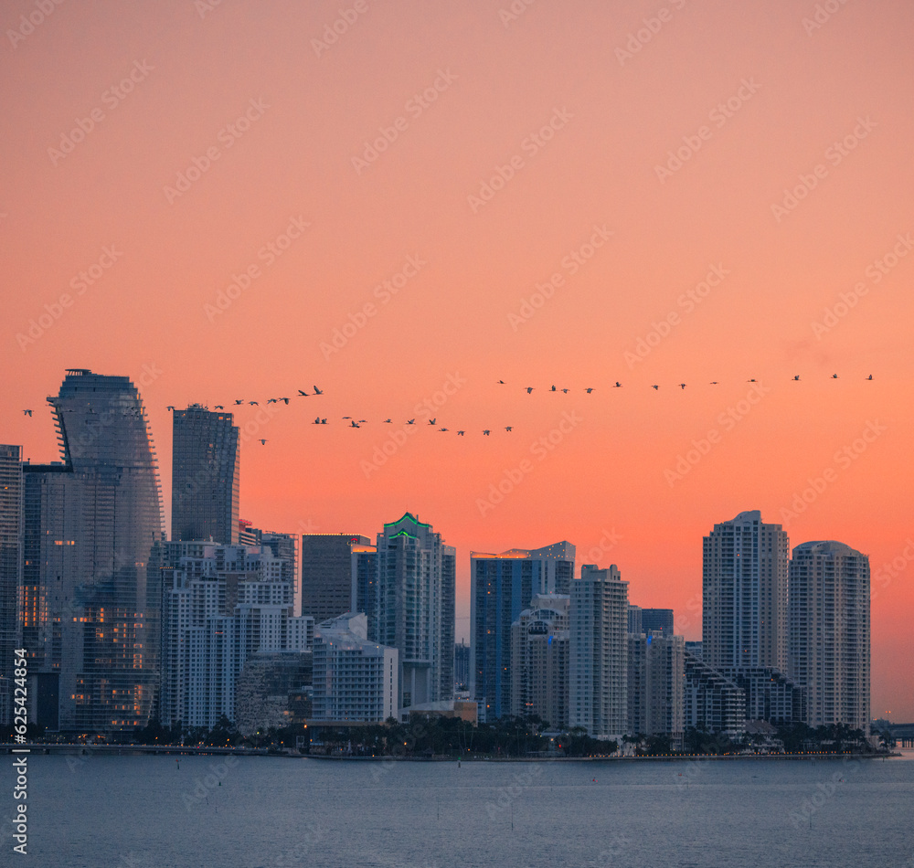 Fototapeta premium city skyline at sunset miami