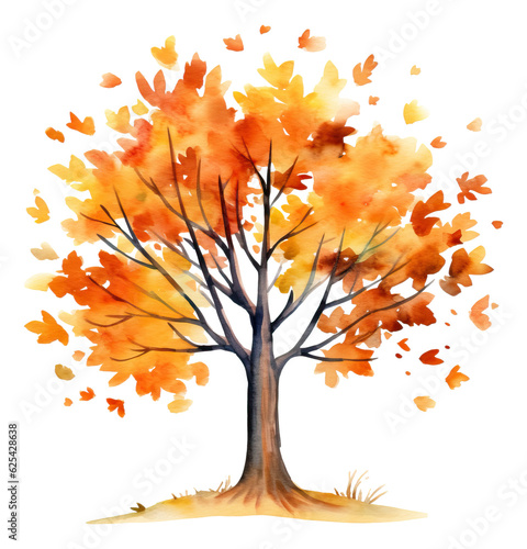 Watercolor drawing of an autumn tree  hand drawn illustration isolated.