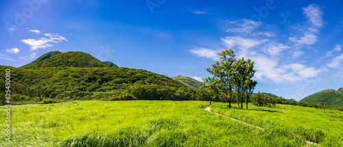 タデ原湿原_大分県 くじゅう連山の北側の湿原、水鳥の生息地としてラムサール条約にも登録された。
