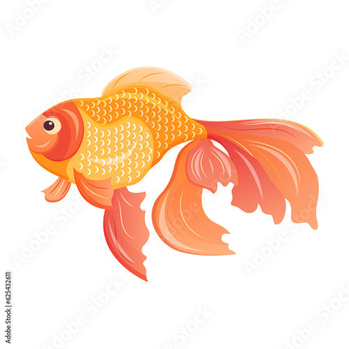 Gold fish. Vector illustration of a veiltail. Aquarium pet. Marine tropical animal