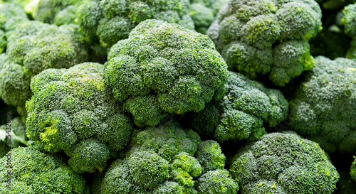 Full frame fresh broccoli sprouts for background