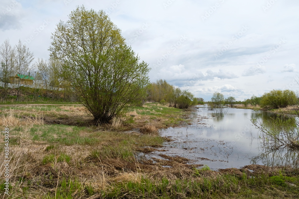 Wild shrubs, various plants and trees along the river. Wild shrubs, various plants and trees along the river.