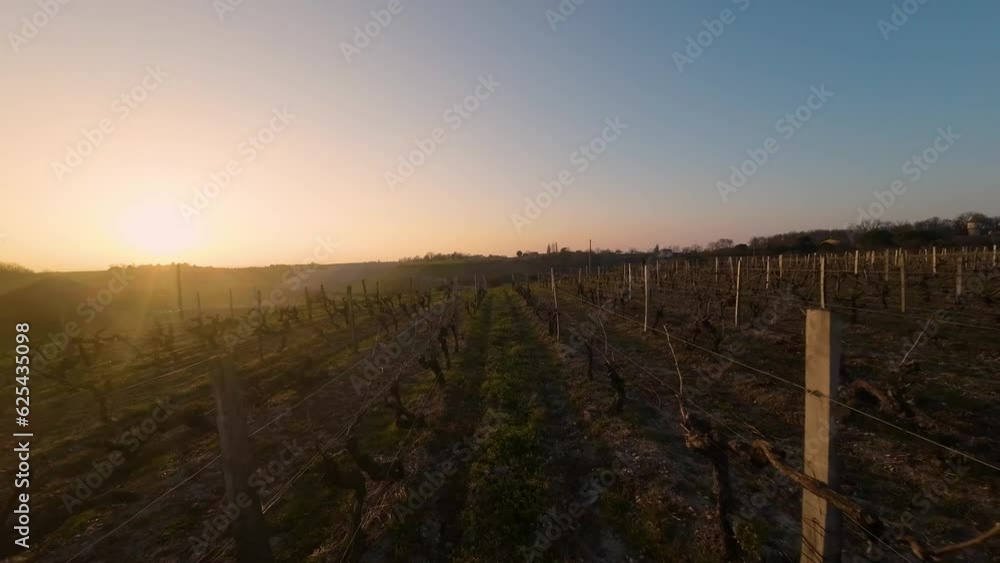 Drone dans les vignes Drone dans les vignes