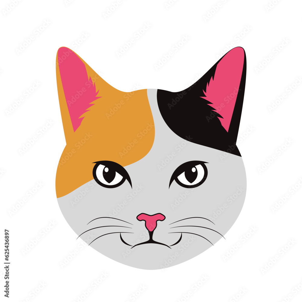 Cat Face Cute Expression Cat Face Cute Expression