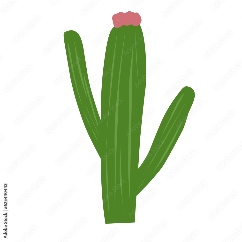 Cute Cactus Cute Cactus