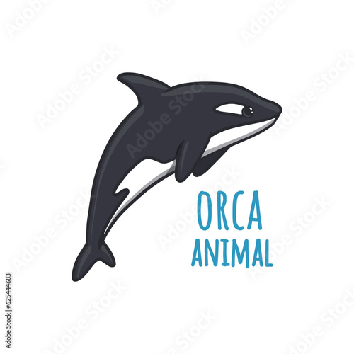 Cartoon killer whale. Ocean animal. Vector illustration 