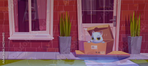 Abandon stray cat in box near house illustration. Dirty and sad waiting pet near closed front door and rain weather. Suburban red brick building facade with window, closed entry and water puddle.
