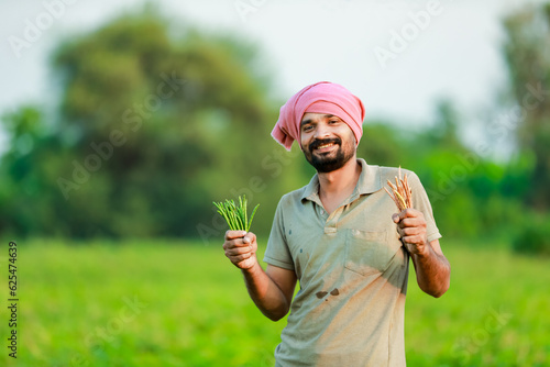 Indian Cwopea farming. farmer holding Cwopea in hands   happy farmer