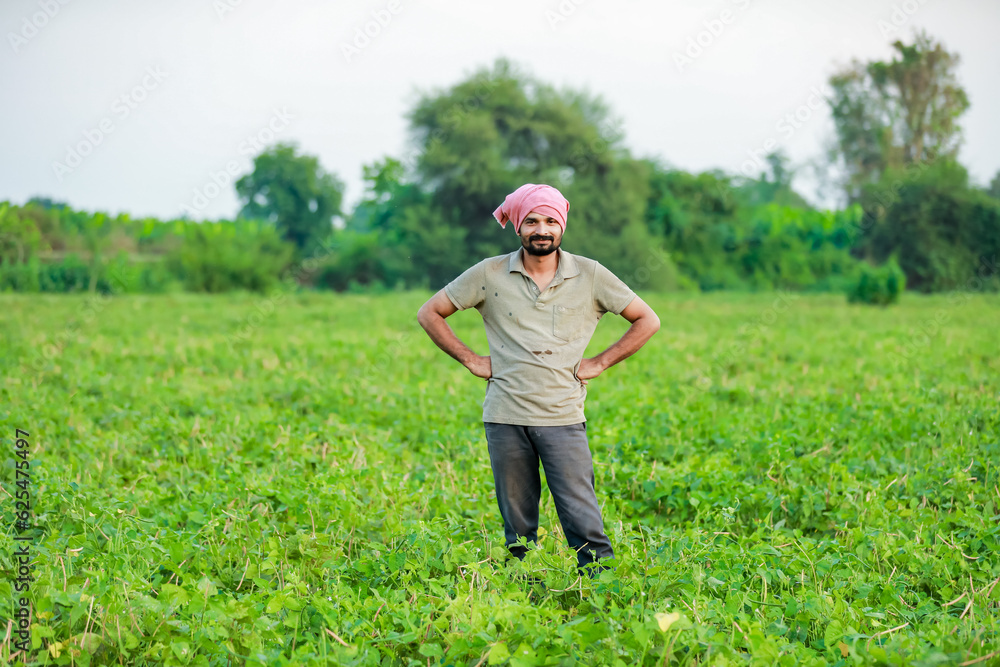 Maharashtra look farmer, happy farmer standing in Cwopea farm Maharashtra look farmer, happy farmer standing in Cwopea farm
