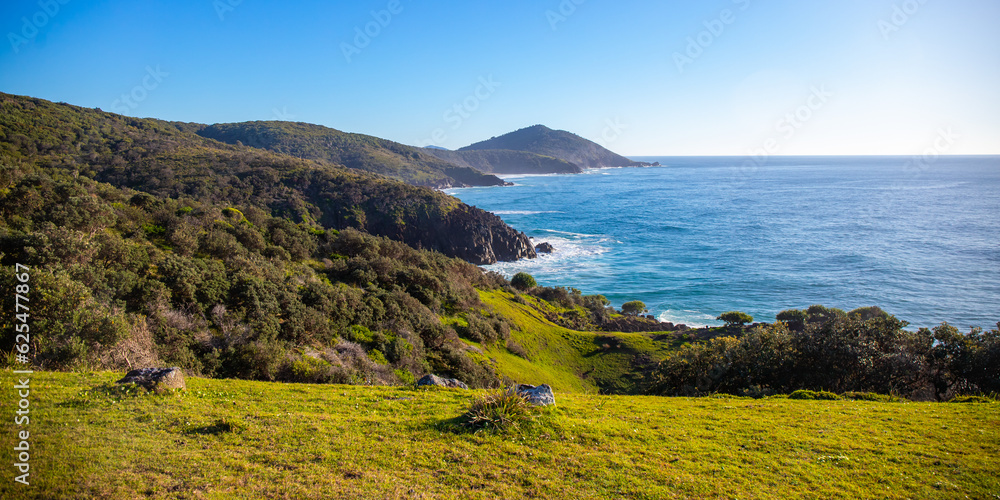 panorama of new south wales coast in hat head national park; green hills coverd with juicy grass by the ocean, beautiful beach surrounded by cliffs in australia