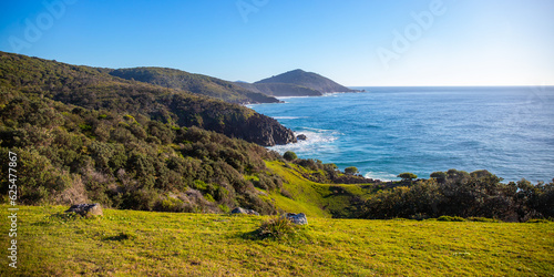 panorama of new south wales coast in hat head national park; green hills coverd with juicy grass by the ocean, beautiful beach surrounded by cliffs in australia