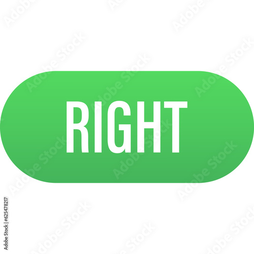 Right button icon. Vector illustration