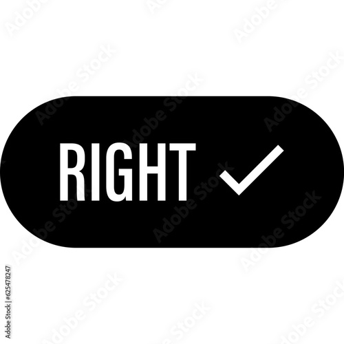 Right button icon. Vector illustration