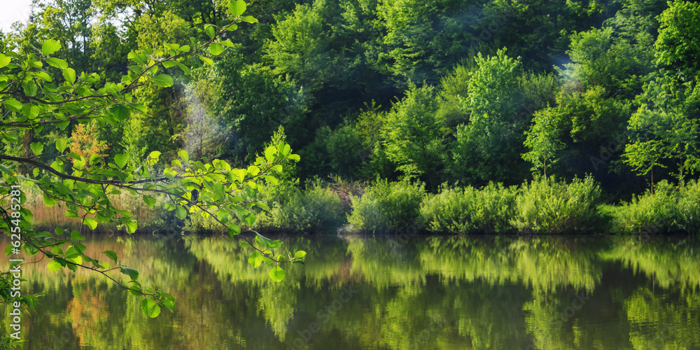 pond in beech woods. nature scenery with trees reflecting on the water surface. summer vacation background pond in beech woods. nature scenery with trees reflecting on the water surface. summer vacation background
