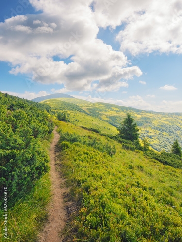 alpine travel destination of carpathian mountains. hillside of petros mountain in summer. beauty of ukrainian landscape
