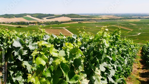 Vue sur le village de Champillon et la ville d'Epernay dans la Marne dans le vignoble champenois. France Europe