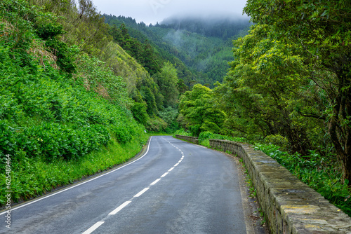 A traditional road in the Azores, lush green vegetation around.