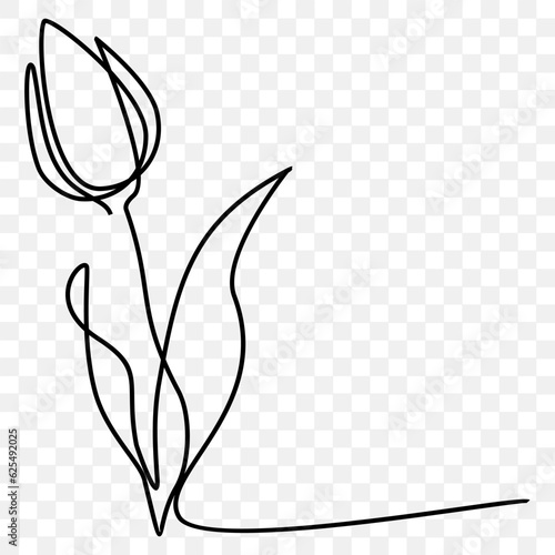 Tulip, line art contour drawing vector