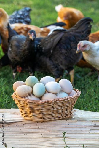 Village homemade chicken eggs, outdoors
