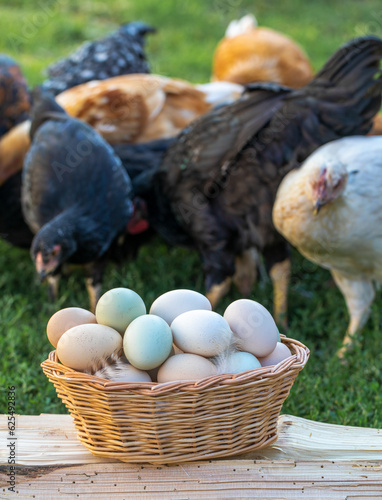 Village homemade chicken eggs, outdoors