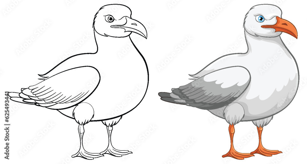 Obraz premium Seagull Bird Outline