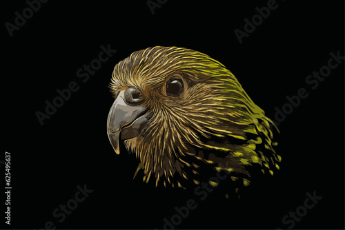 illustration of a close-up portrait of a kakapo bird with green plumage on a black background