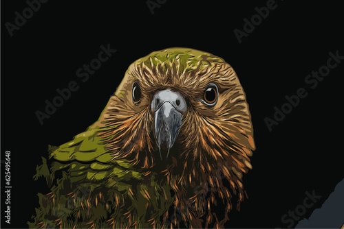 illustration of a close-up portrait of a kakapo bird with green plumage on a black background