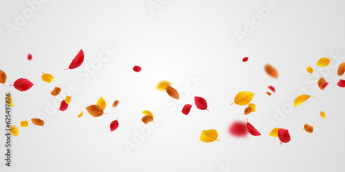 beautiful autumn scene background vector illustration
