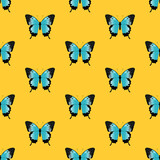 Seamless pattern of butterflies. The butterfly papilio ulysses. Buttrerfly and insept on yellow background. Blue butterfly.