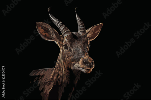 goat, gazelle head illustration, doe on black background