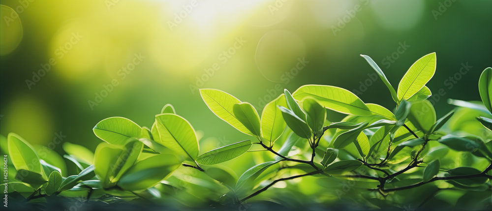 green leaves on a branch , tree for reducing carbon dioxide, Eco green environment. green leaves on a branch , tree for reducing carbon dioxide, Eco green environment.