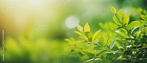 green leaves on a branch , tree for reducing carbon dioxide, Eco green environment.