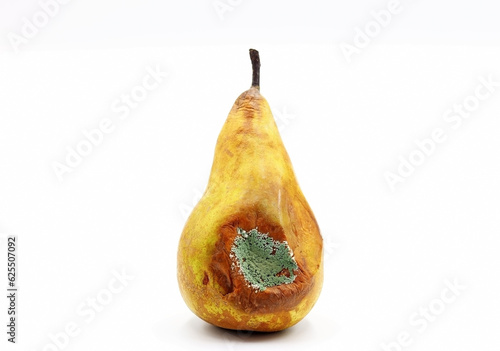 Fungi growing on a very ripe pear