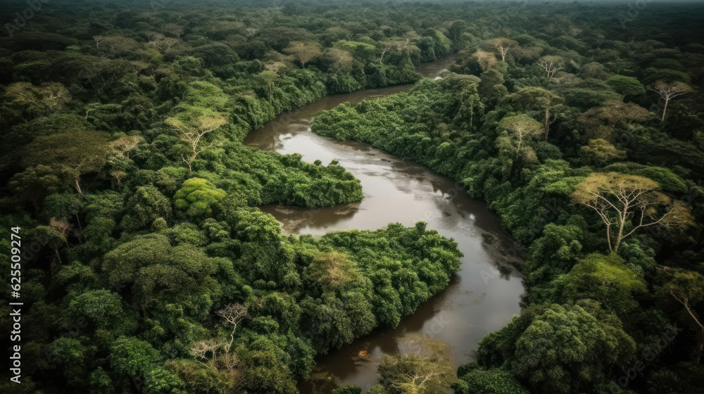Amazon rainforest with long lake Amazon rainforest with long lake