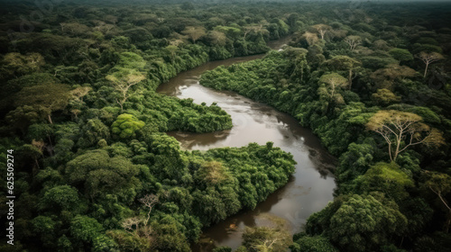 Amazon rainforest with long lake