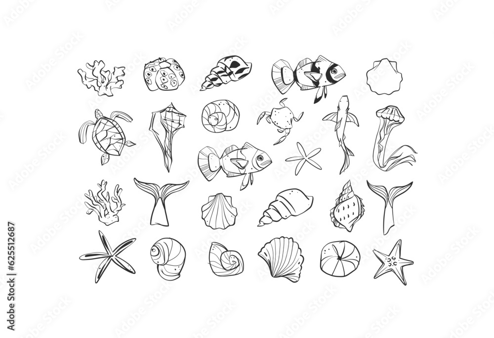 Fototapeta premium Hand drawn vector abstract minimalistic line art graphic drawing tropical underwater fish and seashells icon sign collection set isolated.Summer sea design concept.Tropical summer underwater logo set.