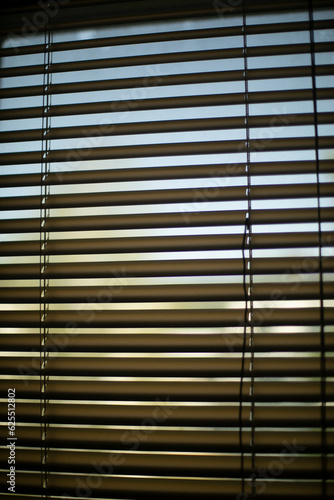 Wallpaper Mural Blinds on window. Interior details. Window in room. Torontodigital.ca