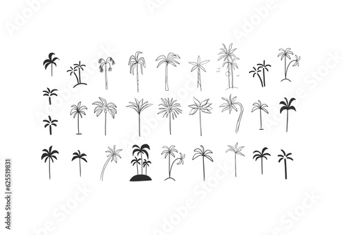 Hand drawn vector abstract minimalistic line art graphic drawing tropical exotic nature palm tree set icon sign collection isolated.Summer travel jungle design concept.Summer tropical tree logo set.
