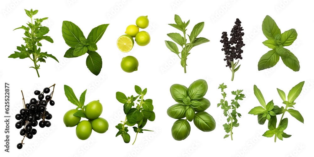 Basil, Oregano, Thyme, green and black pepper fruits Farm Fresh and