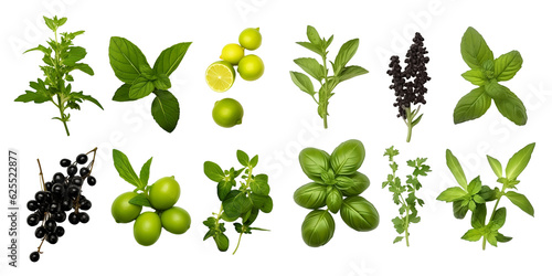 Basil, Oregano, Thyme, green and black pepper fruits- Farm Fresh and Healthy Diet Herbal Design Elements. Generative AI