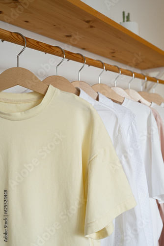 Women's t-shirts on hangers in the dressing room, interior design © Lys Owl