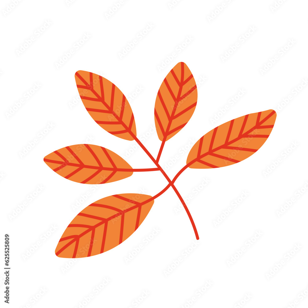 Vector horse chestnut leaf flat illustration Vector horse chestnut leaf flat illustration