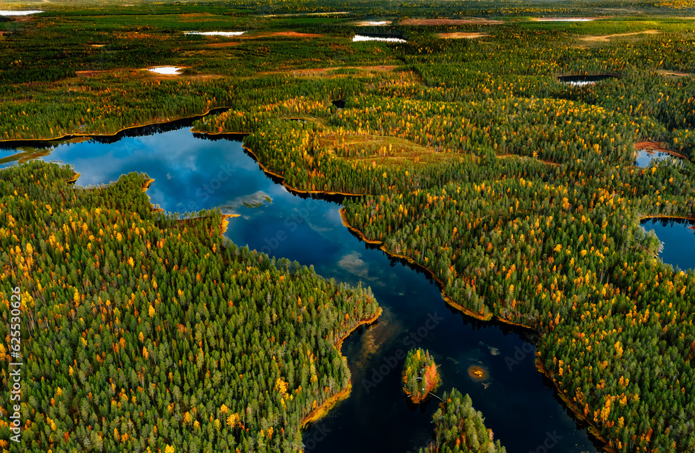 Aerial view of fast blue river flow through fall colorful trees in woods forest.