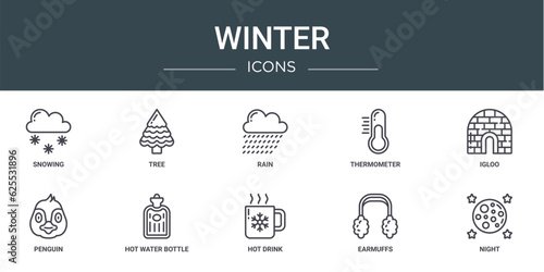 set of 10 outline web winter icons such as snowing, tree, rain, thermometer, igloo, penguin, hot water bottle vector icons for report, presentation, diagram, web design, mobile app