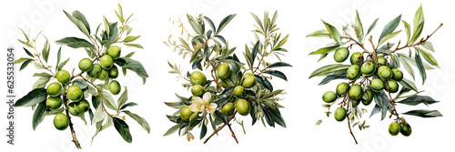 Olives seamless pattern color sketch style hand drawn background, olive branches with leaves on white background. Italian food. ai