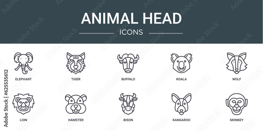 set of 10 outline web animal head icons such as elephant, tiger, buffalo, koala, wolf, lion, hamster vector icons for report, presentation, diagram, web design, mobile app