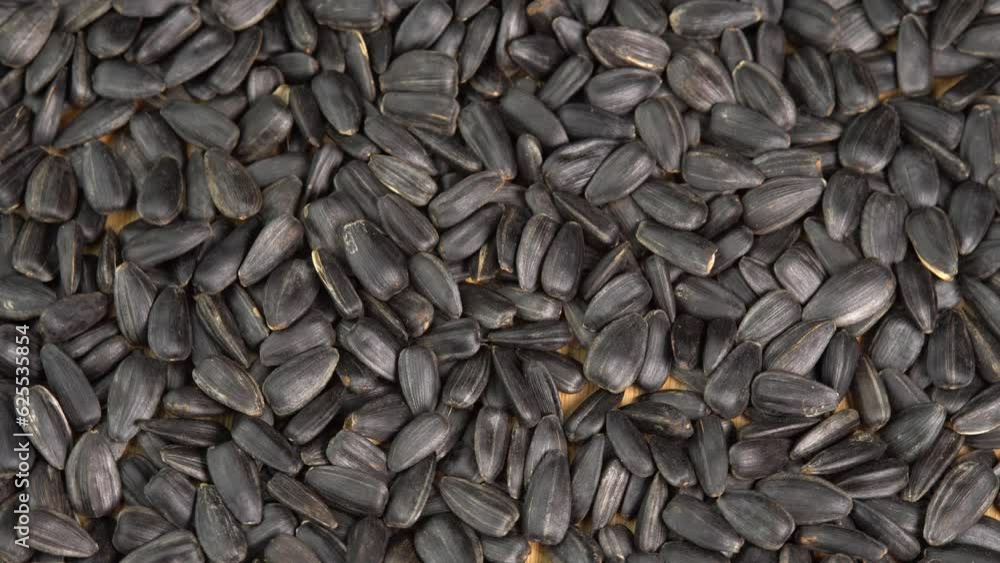 Roasted Sunflower Seeds Close-up Rotate as a Background. Harvesting Sunflower Unpeeled Seeds, Healthy Source of Vitamins in Vegan Food. Raw Materials for Sunflower Oil Roasted Sunflower Seeds Close-up Rotate as a Background. Harvesting Sunflower Unpeeled Seeds, Healthy Source of Vitamins in Vegan Food. Raw Materials for Sunflower Oil