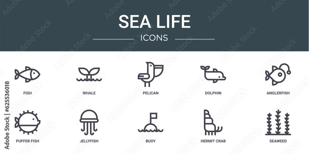 set of 10 outline web sea life icons such as fish, whale, pelican, dolphin, anglerfish, puffer fish, jellyfish vector icons for report, presentation, diagram, web design, mobile app