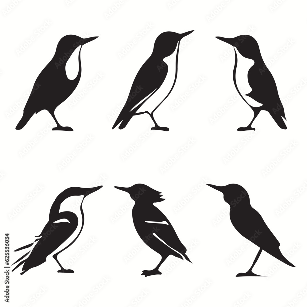 Obraz premium Bandicoot silhouettes and icons. Black flat color simple elegant Bandicoot animal vector and illustration.
